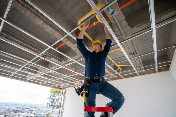 Best Commercial Plumbing Services  in Ojus, FL