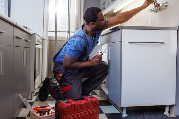 Best Local Plumber Services  in Ojus, FL