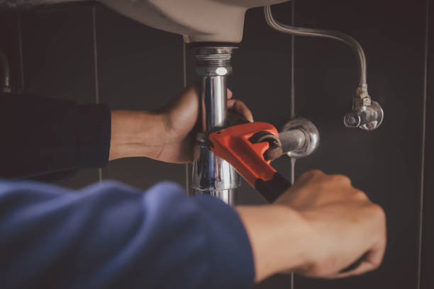 Best Plumbing Inspection Services  in Ojus, FL
